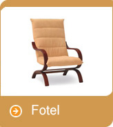 Fotel