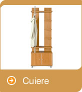 Cuiere